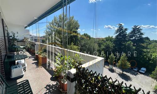 Ampio trilocale con terrazzo